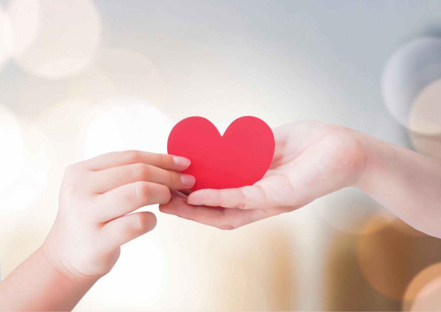 ボランティア保険