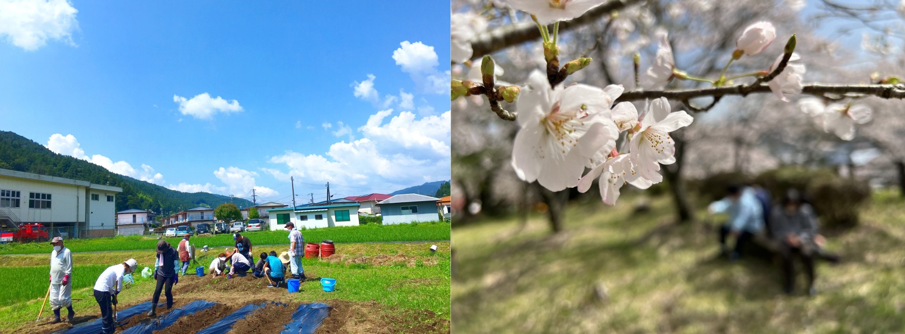 いきいきふれあいセンター
